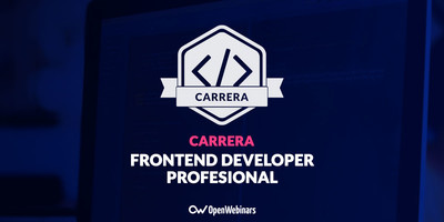 Frontend Developer Profesional