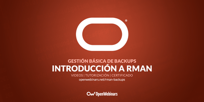 Introducción a RMAN: Gestión básica de backups