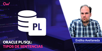 Oracle PL/SQL: Tipos de sentencias