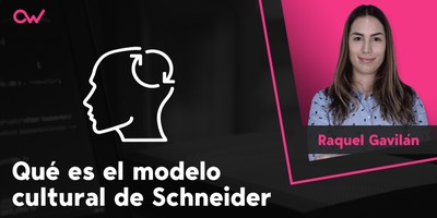 Qué es el modelo cultural de Schneider