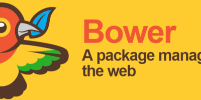 Desarrollo web Frontend Profesional