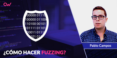 Cómo hacer Fuzzing