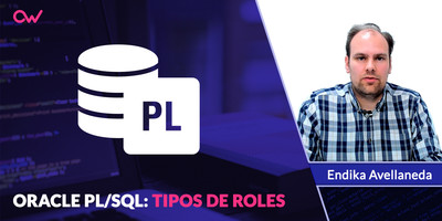 Oracle PL/SQL: Tipos de ROLES