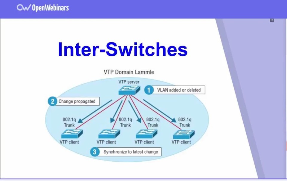 ¿Qué es el Switching? Openinars