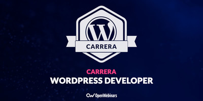 WordPress Developer