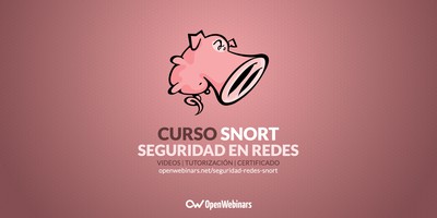 Curso de Seguridad en Redes con Snort