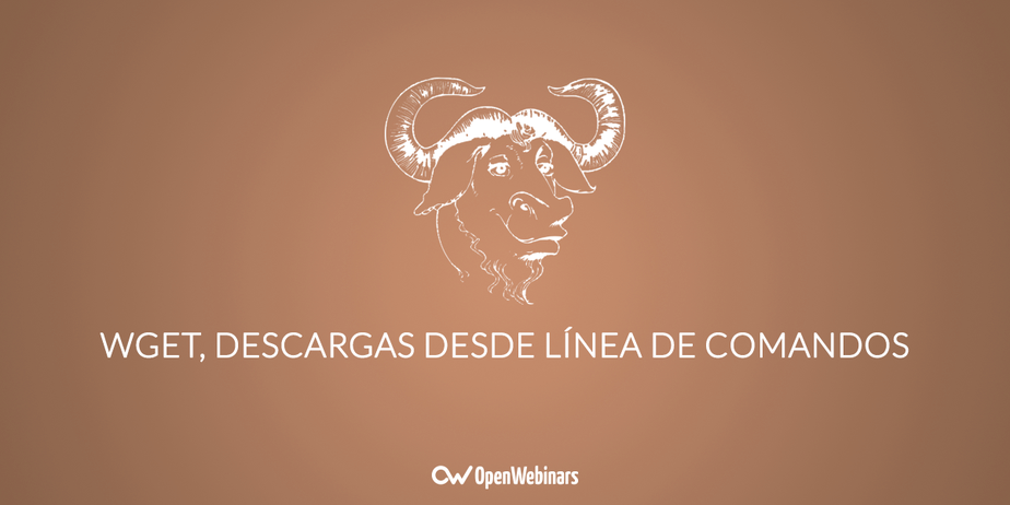 Wget, descargas desde línea de comandos