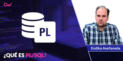 Qué es PL/SQL: Conceptos básicos