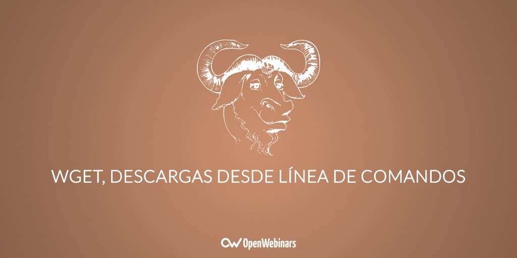 Wget, descargas desde línea de comandos