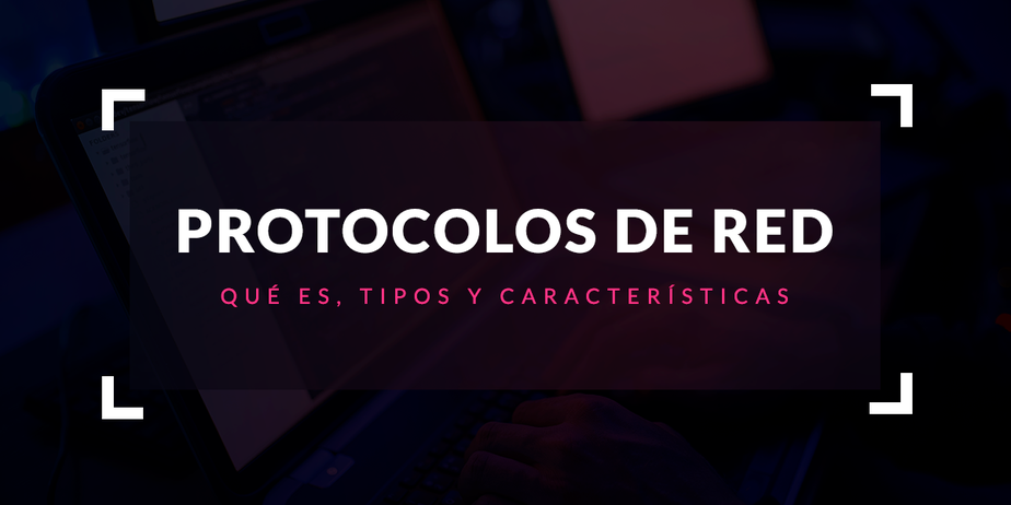 Protocolo de red: Qué es, tipos y características