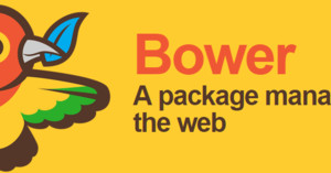 Desarrollo web Frontend Profesional