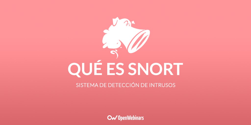 Qué es Snort: Primeros pasos