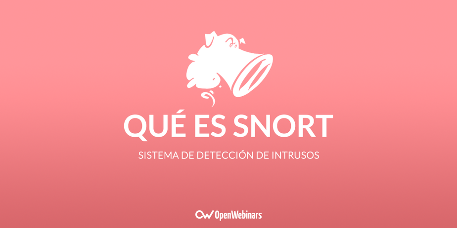 Qué es Snort: Primeros pasos