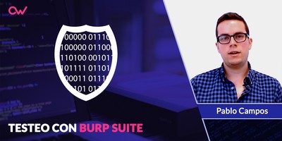 Hacer testeo con Burp Suite