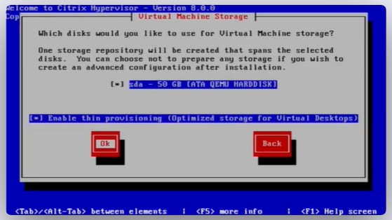 Imagen 5 en Cómo instalar Citrix Hypervisor