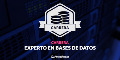 Experto en base de datos