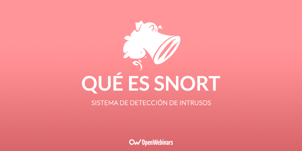 Qué es Snort: Primeros pasos