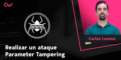 Realizar un ataque Parameter Tampering
