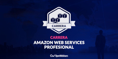 Amazon Web Services Profesional