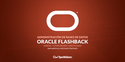 Administración de bases de datos con Oracle Flashback