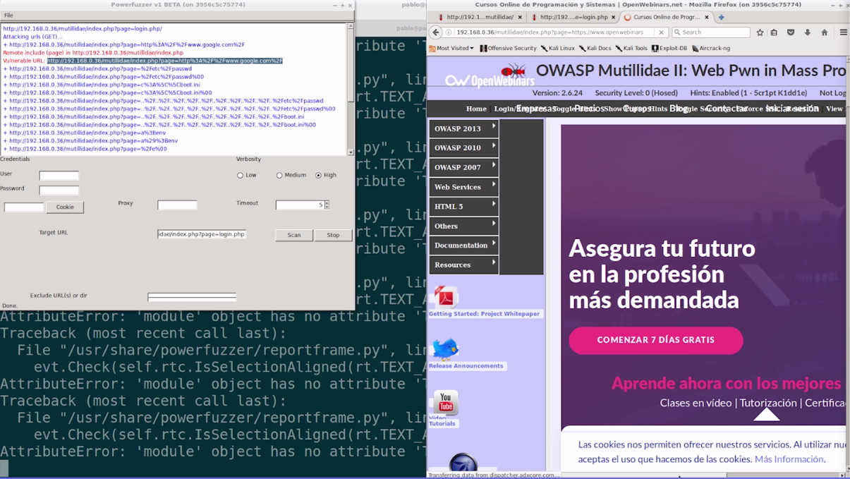 Imagen 2 en Cómo hacer Fuzzing