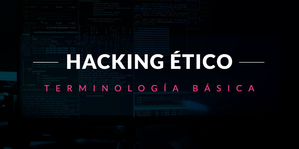 Terminología básica en hacking ético Openinars