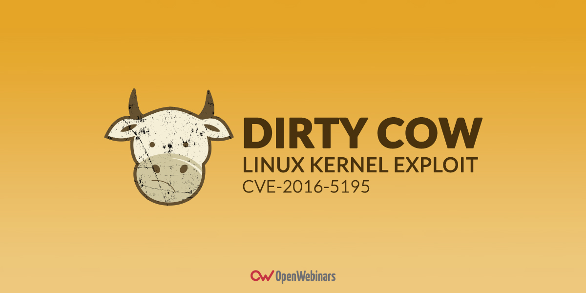 Dirty Cow, el bug más peligroso de Linux